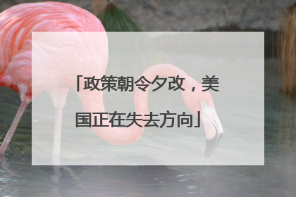政策朝令夕改，美国正在失去方向