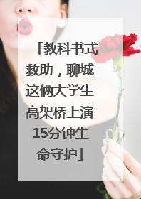 教科书式救助，聊城这俩大学生高架桥上演15分钟生命守护