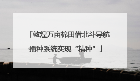敦煌万亩棉田借北斗导航播种系统实现“精种”