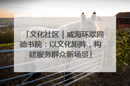 文化社区｜威海环翠同德书院：以文化矩阵，构建服务群众新场景