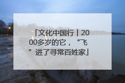 文化中国行丨2000多岁的它，“飞”进了寻常百姓家