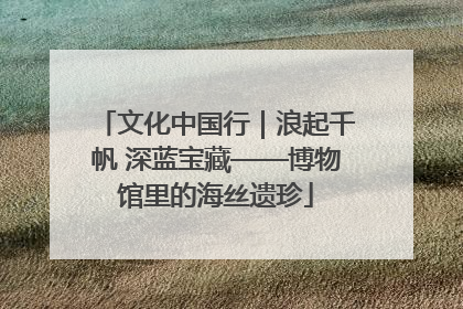 文化中国行｜浪起千帆 深蓝宝藏——博物馆里的海丝遗珍