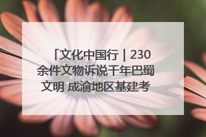 文化中国行｜230余件文物诉说千年巴蜀文明 成渝地区基建考古成果展开展