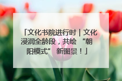 文化书院进行时｜文化浸润全龄段，共绘 “朝阳模式” 新图景！