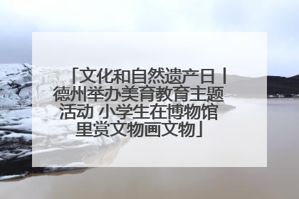 文化和自然遗产日丨德州举办美育教育主题活动 小学生在博物馆里赏文物画文物