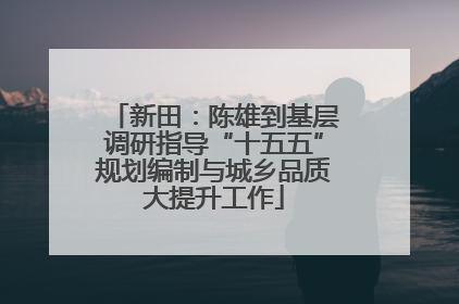 新田：陈雄到基层调研指导“十五五”规划编制与城乡品质大提升工作
