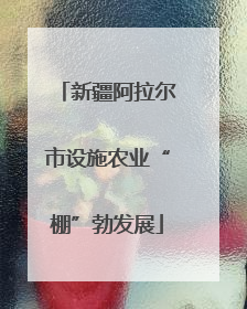 新疆阿拉尔市设施农业“棚”勃发展