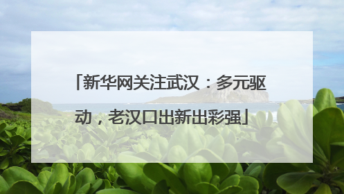 新华网关注武汉：多元驱动，老汉口出新出彩强
