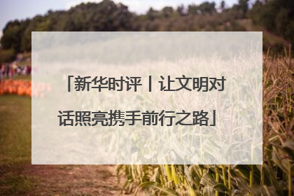 新华时评丨让文明对话照亮携手前行之路