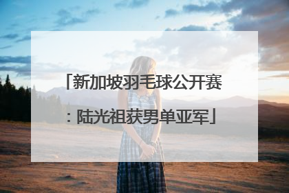 新加坡羽毛球公开赛：陆光祖获男单亚军