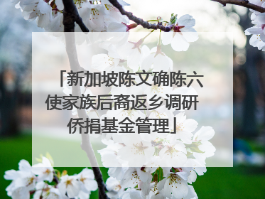 新加坡陈文确陈六使家族后裔返乡调研侨捐基金管理