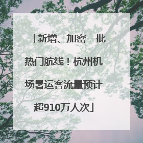 新增、加密一批热门航线！杭州机场暑运客流量预计超910万人次