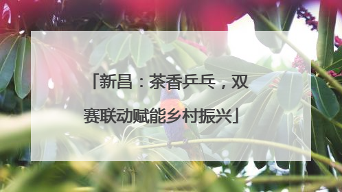 新昌：茶香乒乓，双赛联动赋能乡村振兴