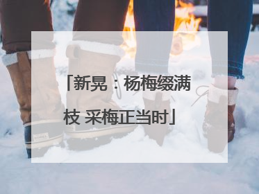 新晃：杨梅缀满枝 采梅正当时
