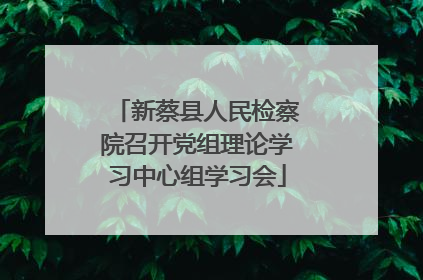 新蔡县人民检察院召开党组理论学习中心组学习会