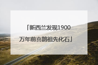 新西兰发现1900万年前喜鹊祖先化石