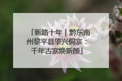 新路十年｜黔东南州黎平县肇兴侗寨：千年古寨焕新颜