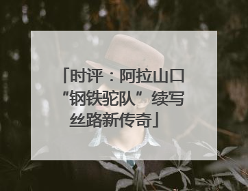 时评：阿拉山口“钢铁驼队”续写丝路新传奇