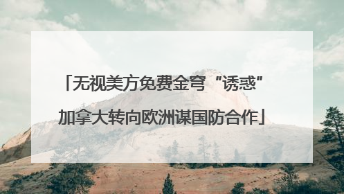 无视美方免费金穹“诱惑” 加拿大转向欧洲谋国防合作