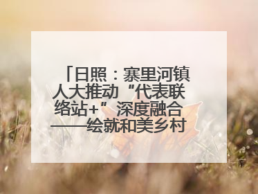 日照：寨里河镇人大推动“代表联络站+”深度融合——绘就和美乡村幸福画卷