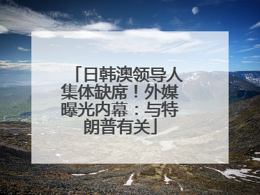日韩澳领导人集体缺席！外媒曝光内幕：与特朗普有关
