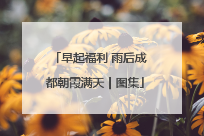 早起福利 雨后成都朝霞满天｜图集