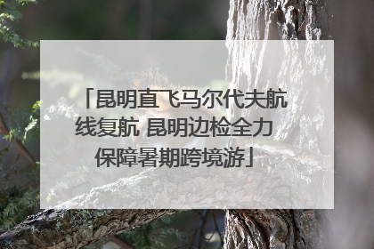 昆明直飞马尔代夫航线复航 昆明边检全力保障暑期跨境游