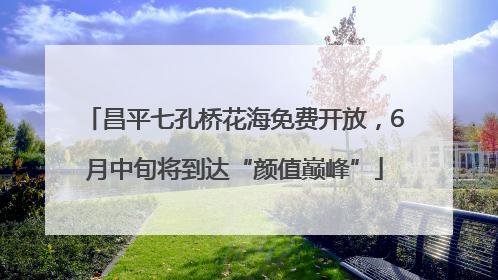 昌平七孔桥花海免费开放，6月中旬将到达“颜值巅峰”