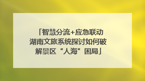 智慧分流+应急联动 湖南文旅系统探讨如何破解景区“人海”困局