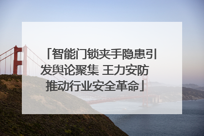 智能门锁夹手隐患引发舆论聚集 王力安防推动行业安全革命