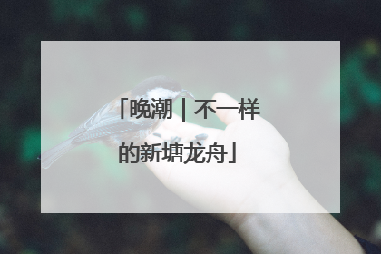 晚潮｜不一样的新塘龙舟