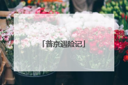 普京遇险记