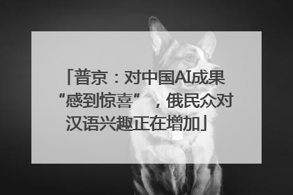普京：对中国AI成果“感到惊喜”，俄民众对汉语兴趣正在增加
