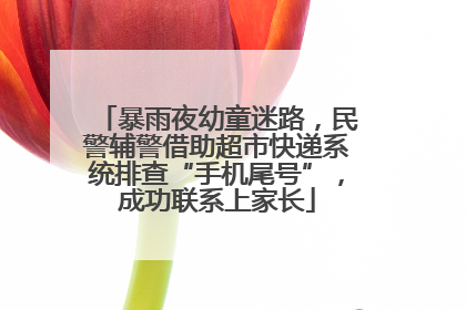 暴雨夜幼童迷路，民警辅警借助超市快递系统排查“手机尾号”，成功联系上家长