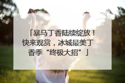 暴马丁香陆续绽放！快来观赏，冰城最美丁香季“终极大招”