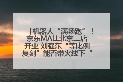 机器人“满场跑”！京东MALL北京二店开业 刘强东“等比例复刻”能否带火线下“618”？