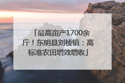 最高亩产1700余斤！东明县刘楼镇：高标准农田增效增收