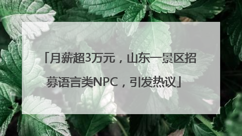 月薪超3万元，山东一景区招募语言类NPC，引发热议
