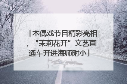 木偶戏节目精彩亮相，“茉莉花开”文艺直通车开进海师附小