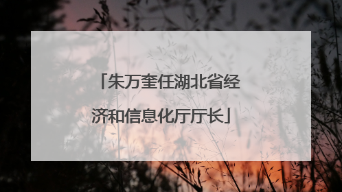 朱万奎任湖北省经济和信息化厅厅长