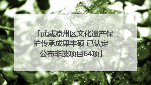 武威凉州区文化遗产保护传承成果丰硕 已认定公布非遗项目64项