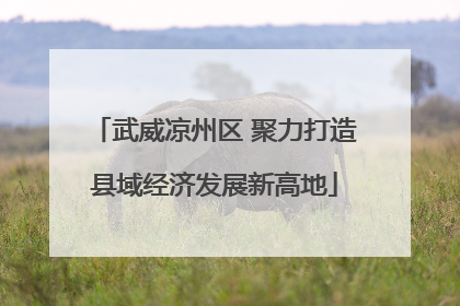 武威凉州区 聚力打造县域经济发展新高地