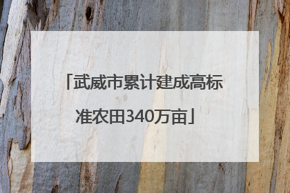 武威市累计建成高标准农田340万亩