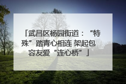 武昌区杨园街道：“特殊”踏青心相连 架起包容友爱“连心桥”