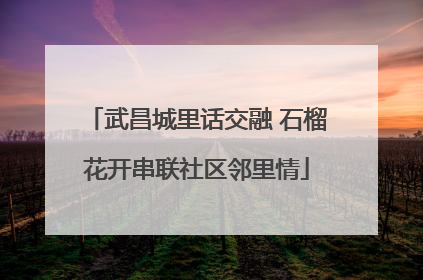 武昌城里话交融 石榴花开串联社区邻里情