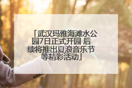 武汉玛雅海滩水公园7日正式开园 后续将推出夏浪音乐节等精彩活动