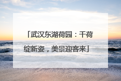 武汉东湖荷园：千荷绽新姿，美景迎客来