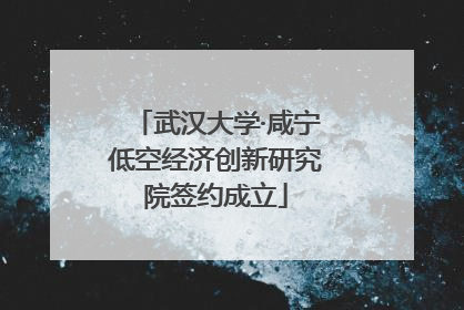 武汉大学·咸宁低空经济创新研究院签约成立