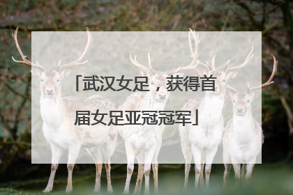 武汉女足，获得首届女足亚冠冠军