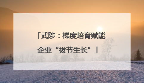 武陟：梯度培育赋能企业“拔节生长”
